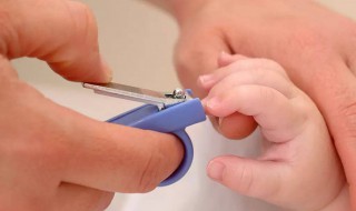 怎么正确剪指甲（怎么能快速长指甲）