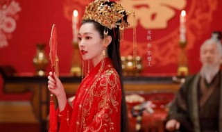 赘婿讲的什么（赘婿讲的什么内容）