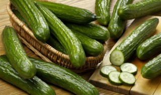 水黄瓜和旱黄瓜的区别主要有哪些（水黄瓜和旱黄瓜的区别主要有哪些图片）