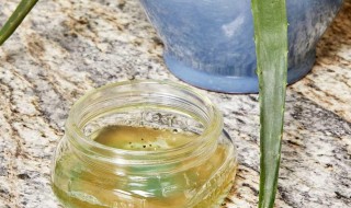 灭小黑飞的最有效方法 花盆里的小黑飞虫如何根除