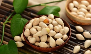 腐皮白果瘦肉汤（腐皮白果粥功效）