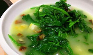 蒜蓉上汤野菜 蒜蓉上汤野菜图片