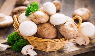 红烧什锦（红烧什锦做法）