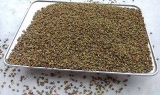 花椒晒干后为何变黑了（花椒为什么晒干了变成黑色）