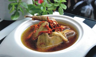 清蒸鸽(清蒸鸽子)