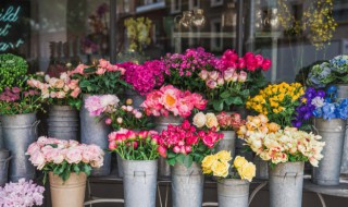 花卉肥料有哪些 花卉肥料有哪些种类