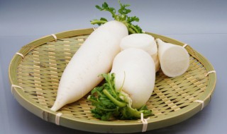 冰糖炖萝卜 冰糖炖萝卜可以止咳吗