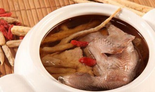 附子炒砂仁炖乳鸽（附子炒砂仁炖乳鸽的功效）