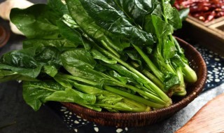 菠菜几天浇一次水（菠菜几天浇一次水比较好）