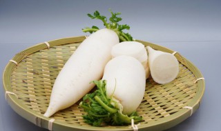 萝卜种子种植时间和方法（萝卜种子种植时间和方法西瓜萝卜）