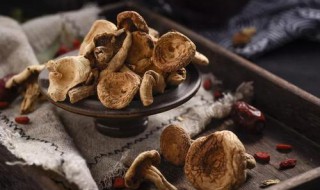 冬季秋冬吃什么食物（秋冬季节吃啥）