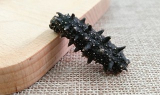 葱烧海参蒸豆腐 葱烧海参蒸豆腐好吃吗