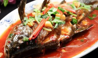 红烧桂鱼的家常做法（红烧桂鱼的家常做法窍门）