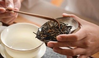 挑选茶叶的正确方法(怎么选茶叶,要注意几点)