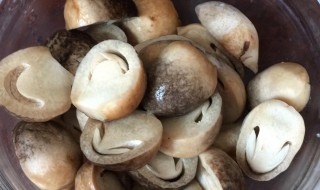 草菇开胃汤怎么做（草菇汤窍门）