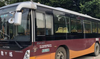 大客车考驾照技巧（大客车驾照报考条件）