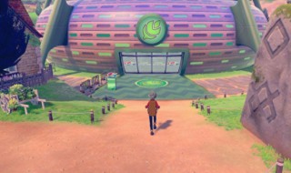 switch剑盾对战技巧