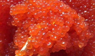 大马哈鱼籽怎么做（大马哈鱼籽怎么做好吃又简单）