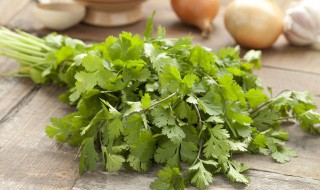 烤肠炒芹菜怎么做（烤肠炒芹菜怎么做好吃）