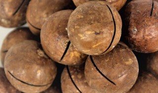 夏威夷果的剥开方法（夏威夷果的剥开方法视频）