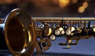 怎么挑选萨克斯（萨克斯选购指南）