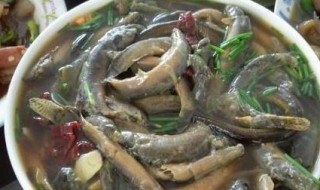 清蒸泥鳅怎么做好吃窍门 清蒸泥鳅的做法窍门