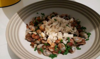 葱油炒饭怎么做 葱油炒饭怎么做视频