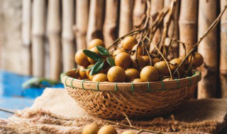 桂圆玉米粥做法窍门（桂圆玉米粥功效）