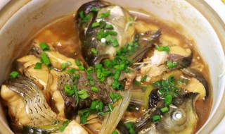 香焖草鱼腩的做法（草鱼鱼腩怎样做好吃）