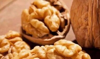 核桃里面的隔膜有什么作用（核桃内的隔膜叫什么）