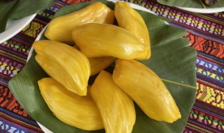 菠萝蜜没有熟但是已经打开了怎么办（菠萝蜜没有熟但是已经打开了怎么办）