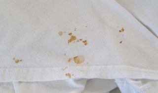 衣服上的血渍怎么清除干净? 衣服上的油渍怎么清除干净