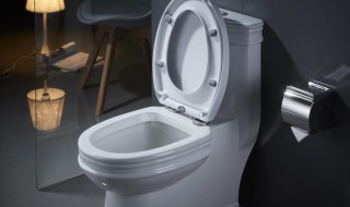 马桶堵塞严重疏通小窍门（坐厕堵了疏通的最简单方法）