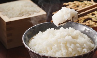 米饭丸子怎么做才好吃（米饭丸子怎么做才好吃视频）