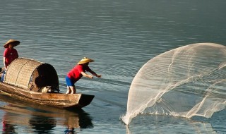 农村捕鱼的最佳方法 农村捕鱼的最佳方法是什么