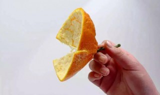 橘子皮糕做法窍门（橘子皮膏怎么做）