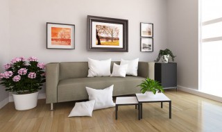 家中挂牡丹画的禁忌有哪些（牡丹画能挂在家里吗）