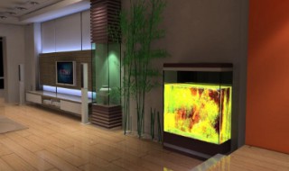 进门见水缸风水好不好（进门见水缸风水好不好图片）