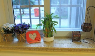 窗台摆花风水禁忌及注意事项 窗台摆花风水禁忌及注意事项图解