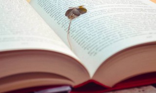 12句清晨早安心语 12句清晨早安心语大全