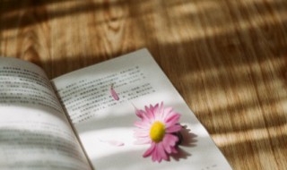 浠字的起名禁忌有哪些 浠字的起名禁忌有哪些意思