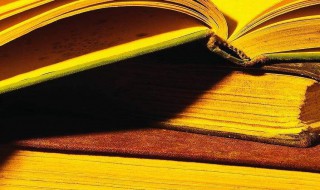 抖音文案短句阳光(抖音文案短句阳光干净治愈)