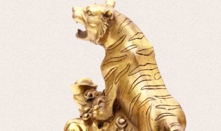 老虎摆件摆家里什么位置好（老虎摆件摆家里什么位置好呢）