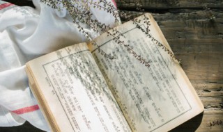 壁虎在风水学上的说法（壁虎在风水学上的说法是）