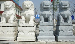 石狮子和哪个生肖相冲（石狮子忌讳什么生肖）