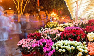 家里养海棠花不吉利是为什么 为什么说家里养海棠花不吉利