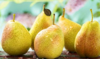 蛋糕和梨能一起吃吗 蛋糕和梨可以一起吃吗