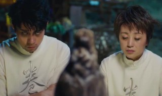 羞羞的铁拳宋阳演的谁（羞羞的铁拳有宋小宝吗）