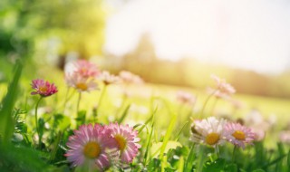 小雪天晴意味着什么 小雪见晴天