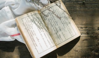 阿长与山海经概括100字（阿长与山海经概括100字以上）